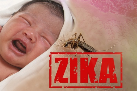 Zika Virus is Being Transmitted by Aedes Aegypti Mosquito and is Dangerous for Pregnant Women