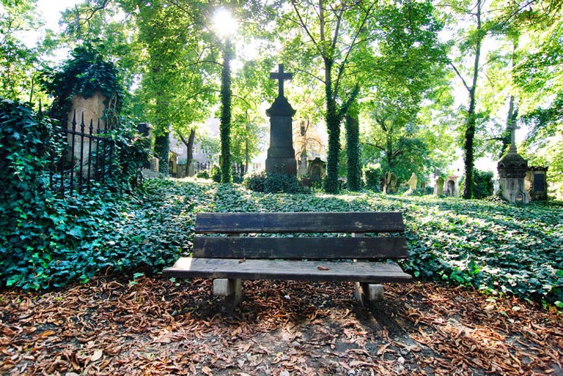 Olsany Cemetery, One of the Most Peaceful Places in Prague