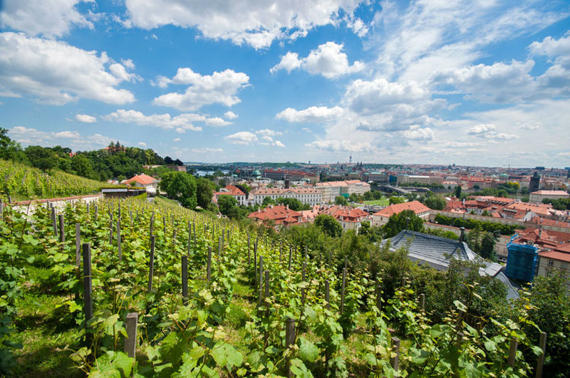 St. Wenceslas Vineyard Offers Amazing View on Prague