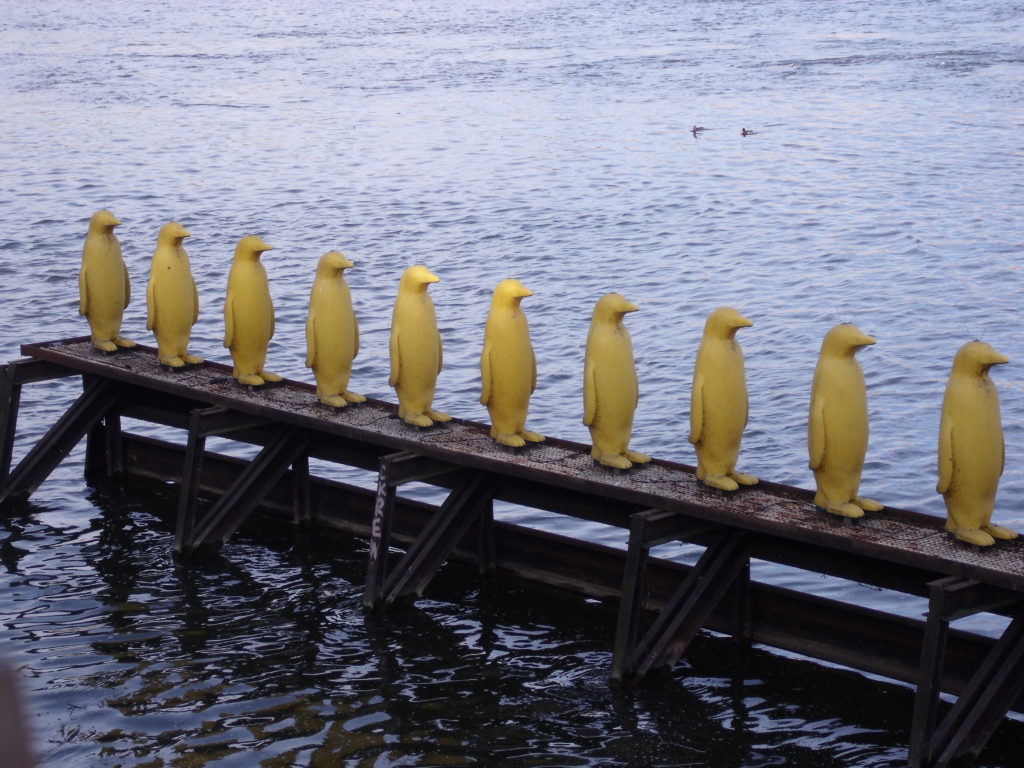 Penguins standing to attention