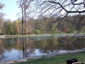 Reflections by the lake at Stromovka Park
