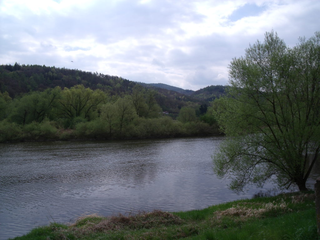 The riverbank near Dobrichovice