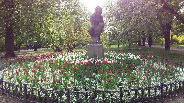 Tulips in Letna Park